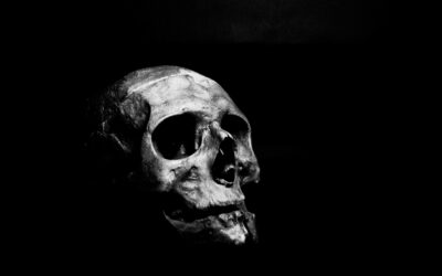 Top 5 Thrillers Français Incontournables : Frissons et Suspense Garantis !