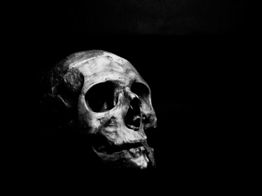 Top 5 Thrillers Français Incontournables : Frissons et Suspense Garantis !