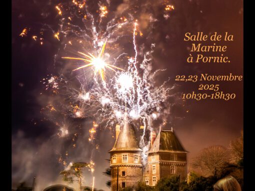📚 Salon du Livre de Pornic – Rendez-vous ce samedi !